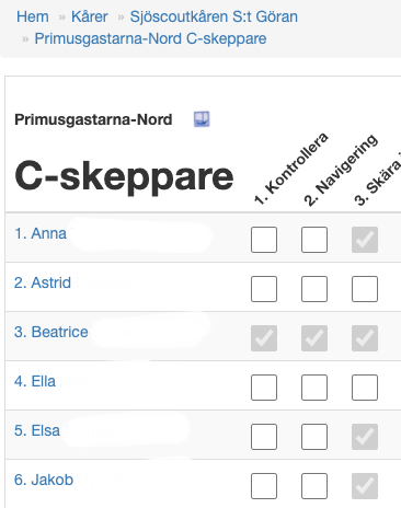 avdelnings-rapport