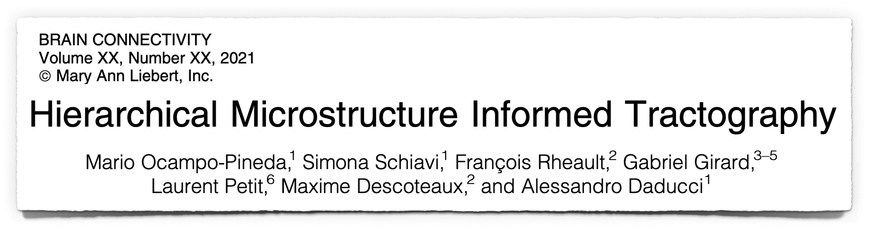 Reference COMMIT2tree