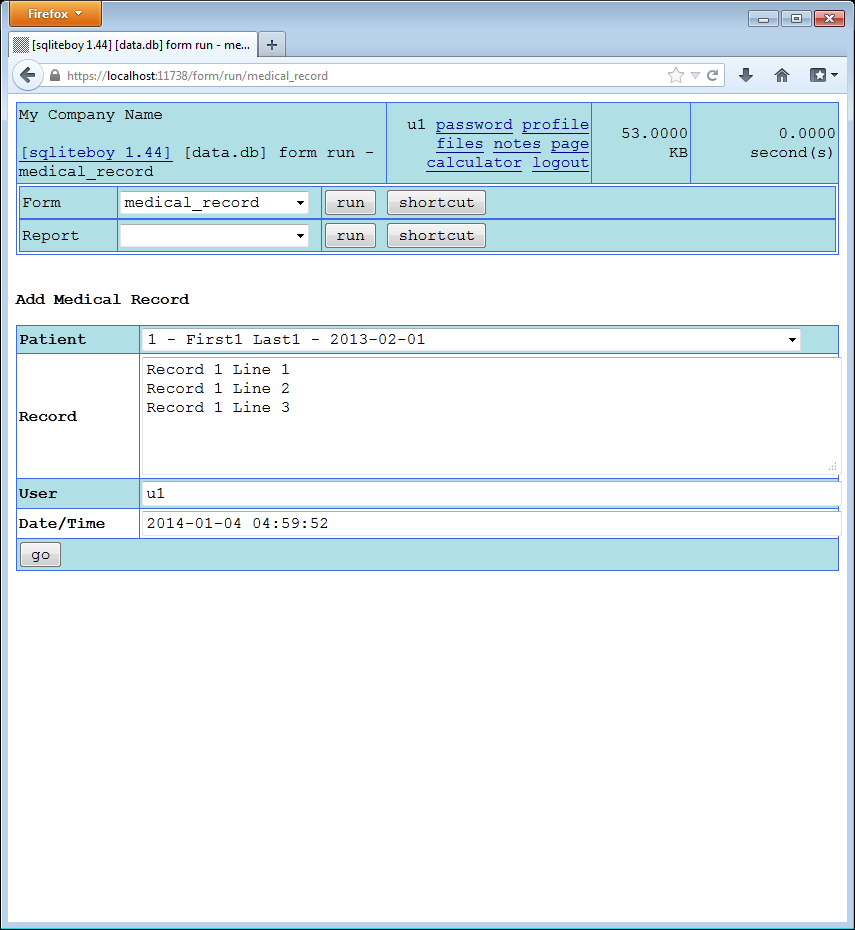 Medical Record Form