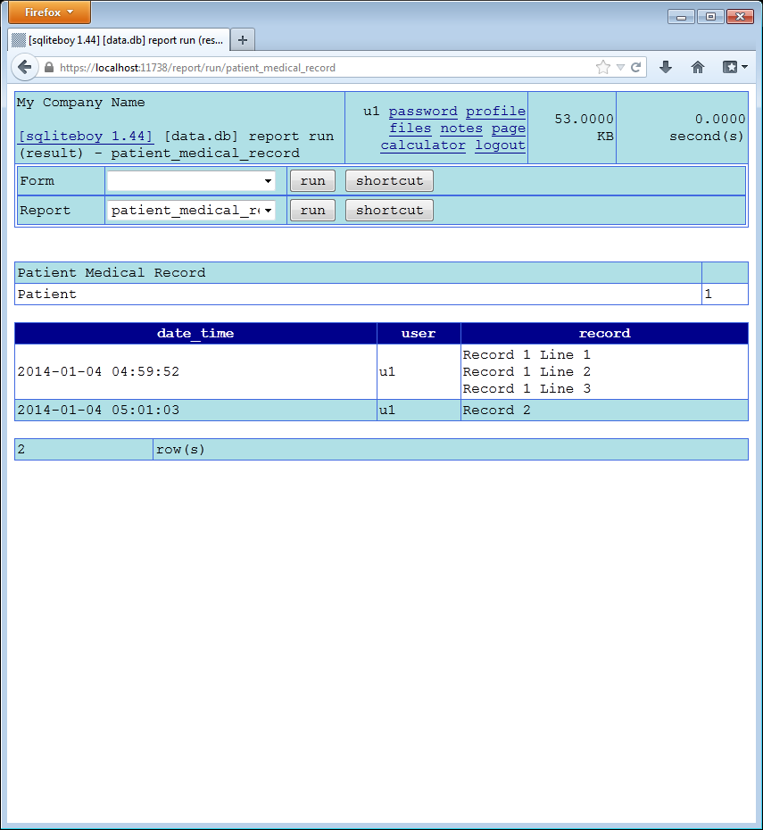 Patient Medical Record Report (Result)