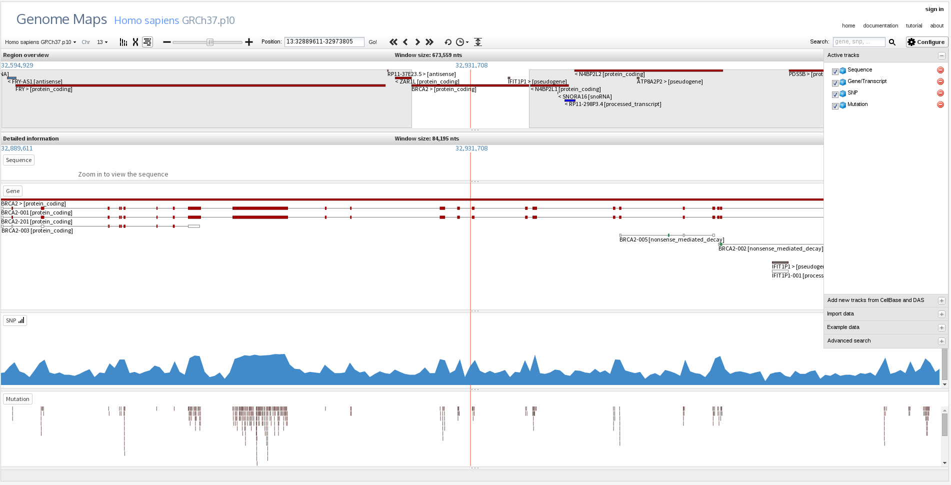 Big genomic region