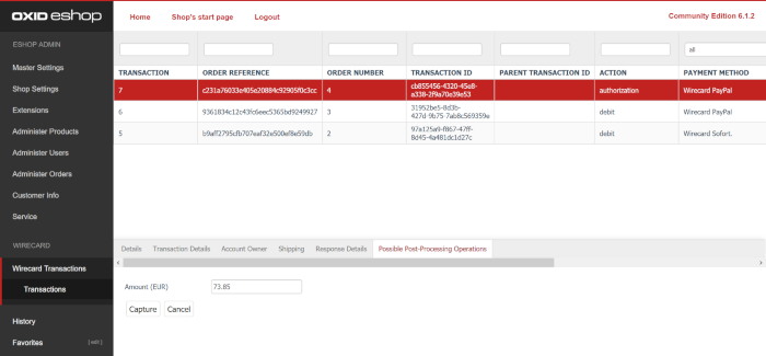 Wirecard Payment Gateway Options