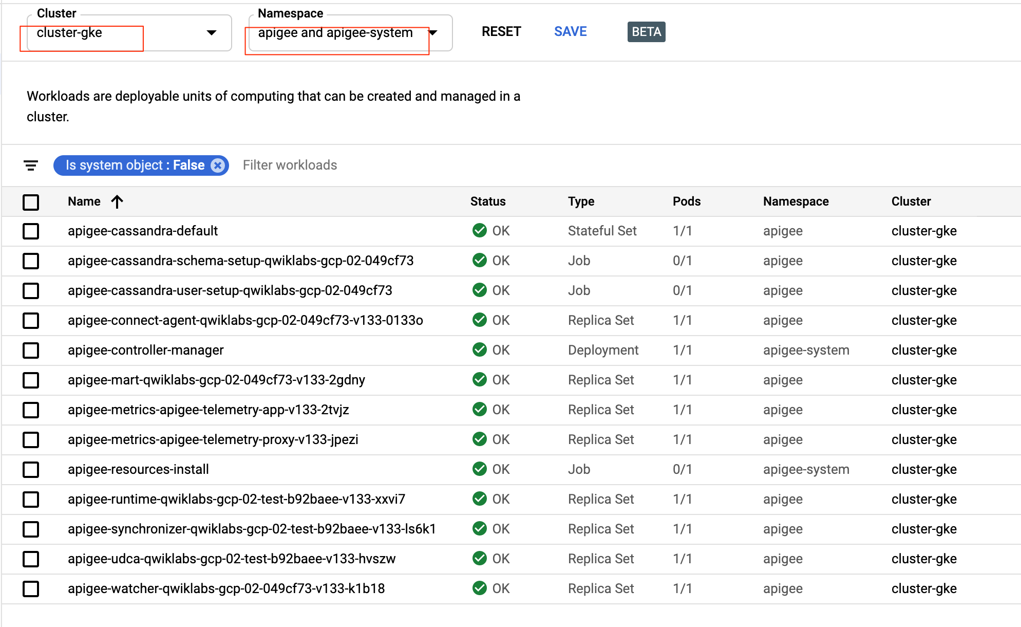 GKE Plus Hybrid Runtime